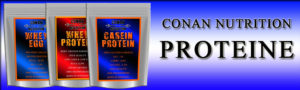 conan-nutrition-proteine